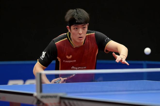 他的盘带突 他的盘带突