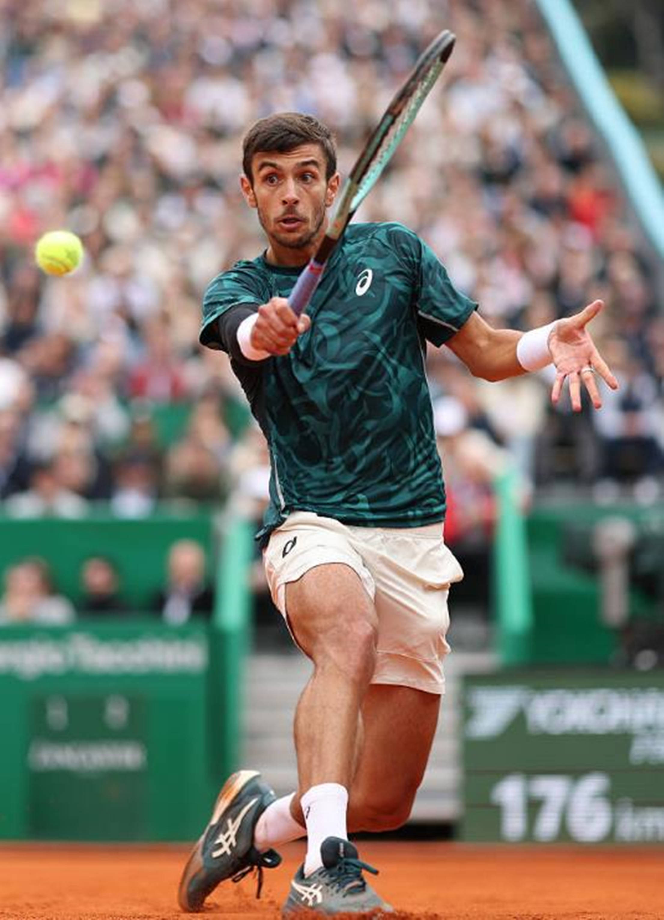 稳定高效的 稳定高效的