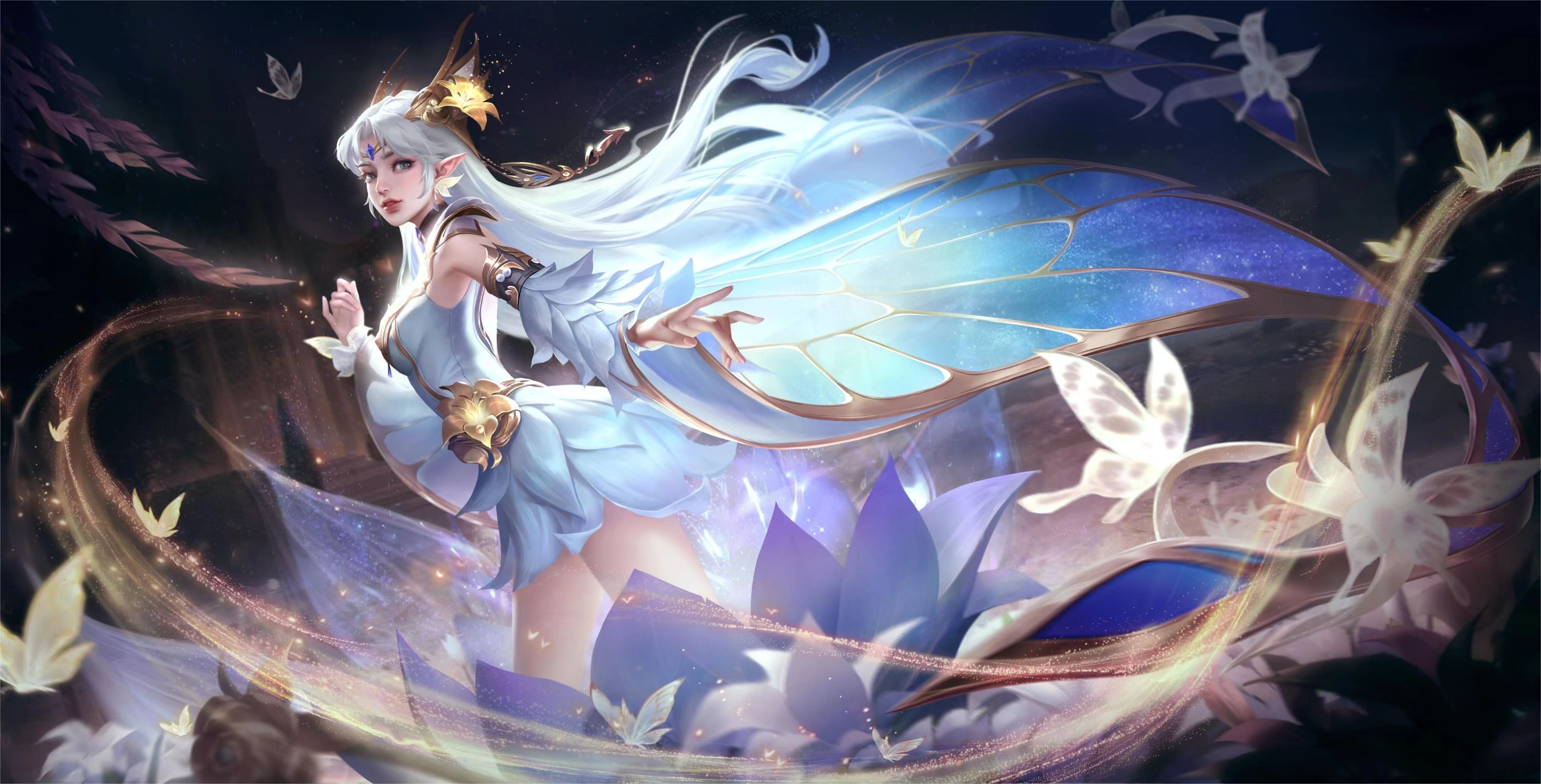 与内容要点 与内容要点