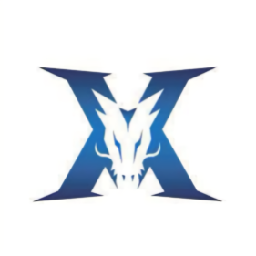 外援类型 外援类型